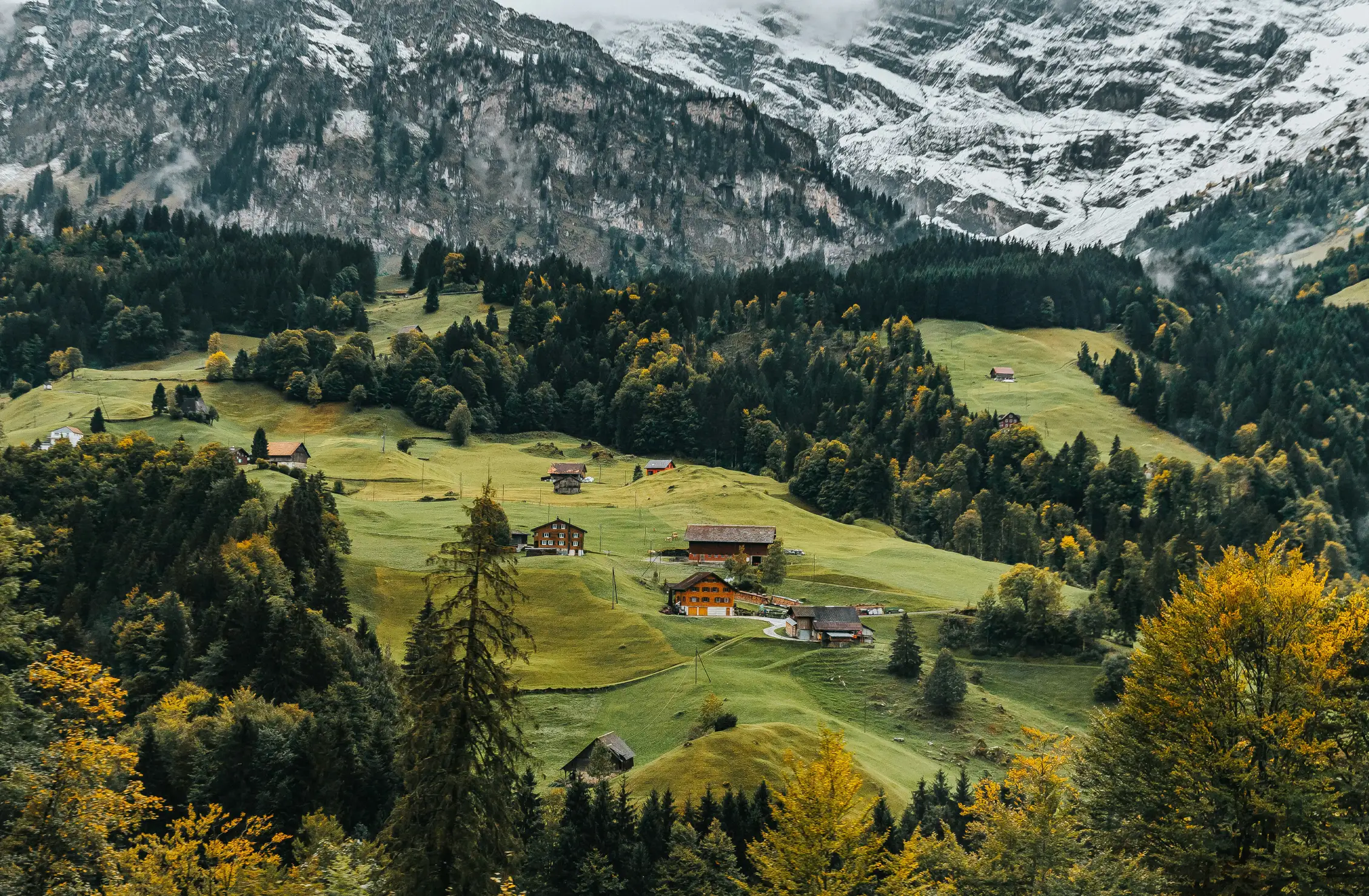 Georgia