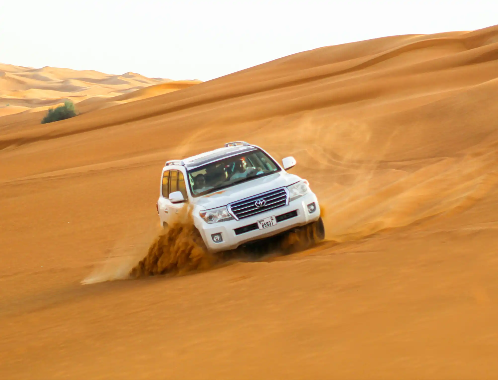 Desert Safari